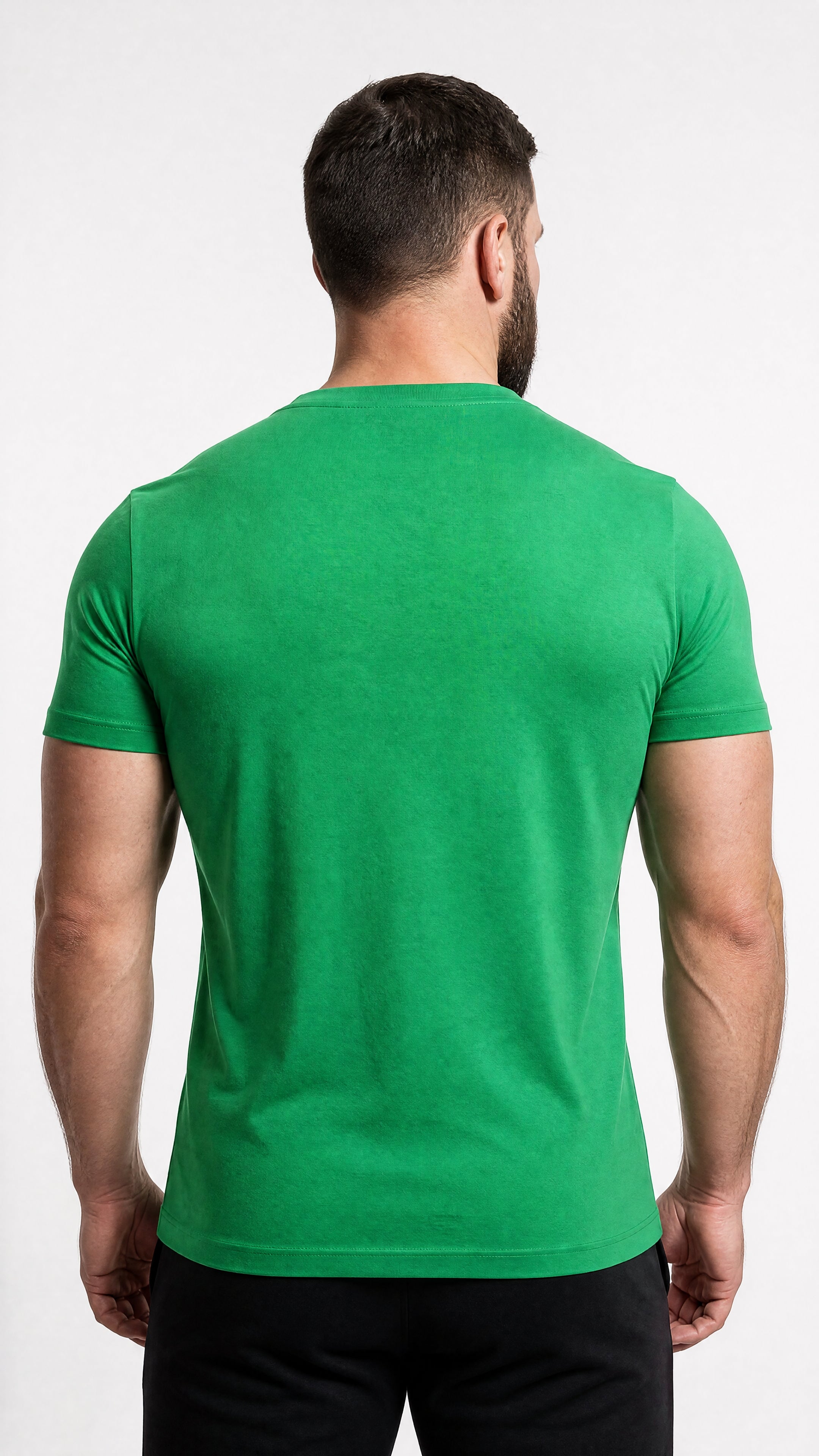 Camiseta Lacoste Classica